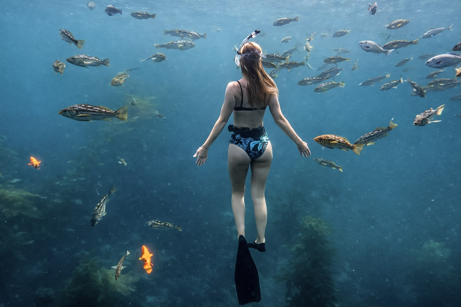 Crystal clear ocean water over a coral reef